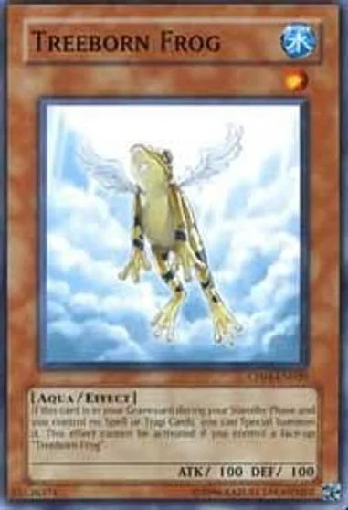 Treeborn Frog CP04-EN020