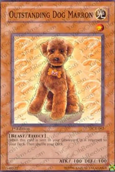 Outstanding Dog Marron [1st Edition] DCR-062