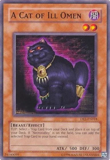 A Cat of Ill Omen DR1-EN018