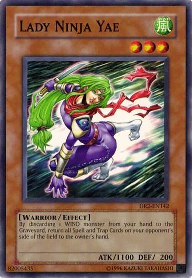 Lady Ninja Yae DR2-EN142