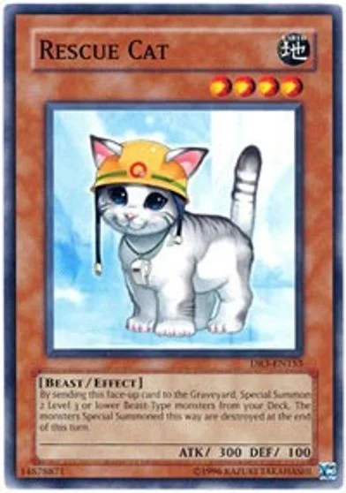 Rescue Cat DR3-EN153