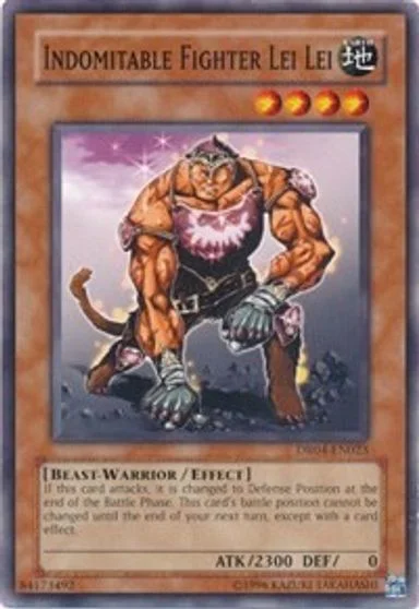 Indomitable Fighter Lei Lei DR04-EN023