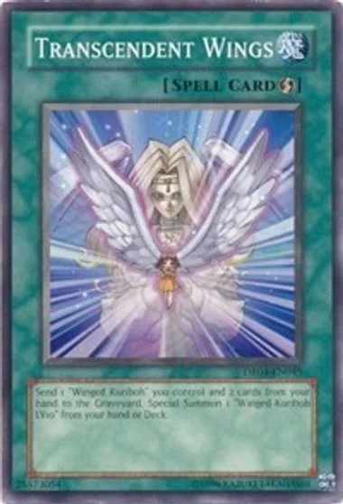 Transcendent Wings DR04-EN045