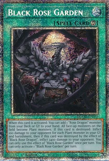 Black Rose Garden [Starlight Rare] DOOD-EN055