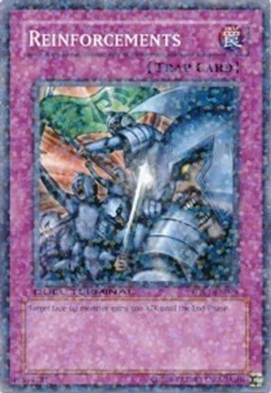 Reinforcements DT01-EN049