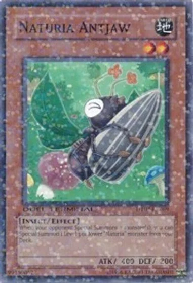 Naturia Antjaw DT02-EN069