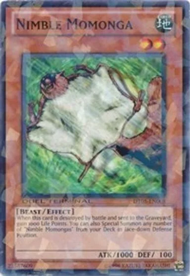 Nimble Momonga DT05-EN008