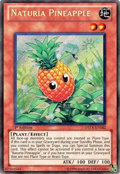 Naturia Pineapple DREV-EN082