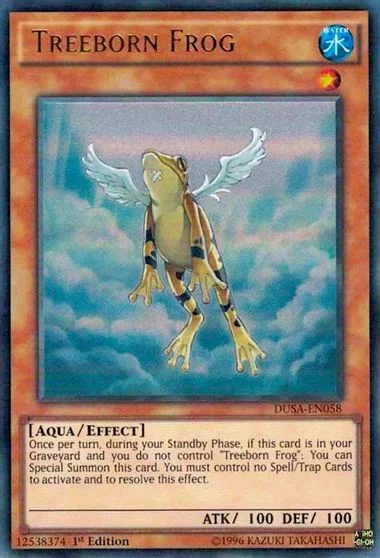 Treeborn Frog DUSA-EN058