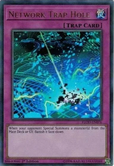 Network Trap Hole [1st Edition] FLOD-EN076