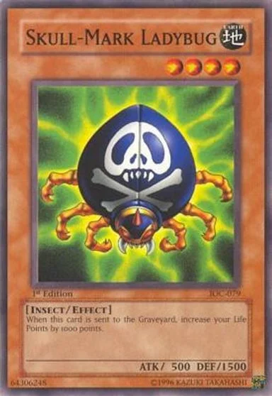 Skull-Mark Ladybug [1st Edition] IOC-079