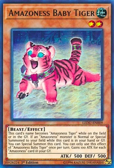 Amazoness Baby Tiger LEDU-EN009