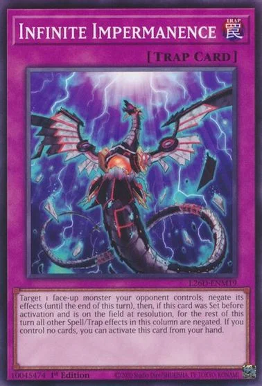 Infinite Impermanence L26D-ENM19