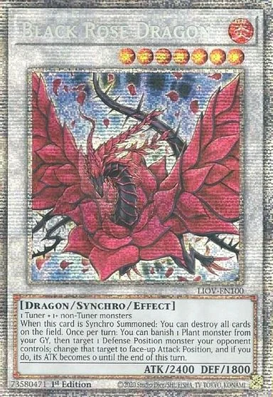 Black Rose Dragon [1st Edition] LIOV-EN100