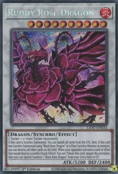 Ruddy Rose Dragon [1st Edition] LIOV-EN035