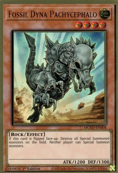 Fossil Dyna Pachycephalo MGED-EN008