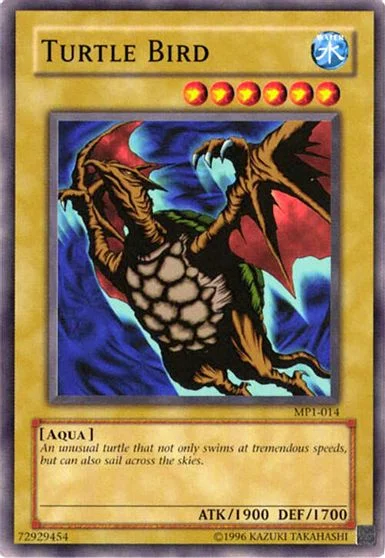 Turtle Bird MP1-014