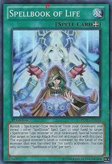 Spellbook of Life REDU-EN059