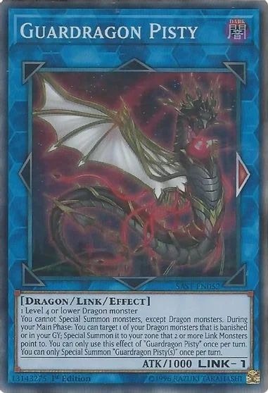 Guardragon Pisty SAST-EN052