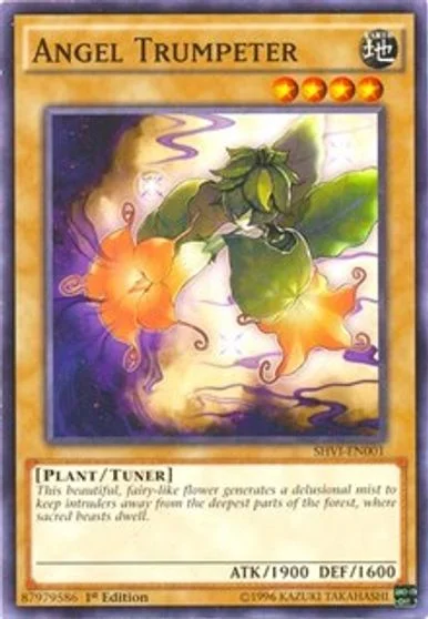 Angel Trumpeter SHVI-EN001