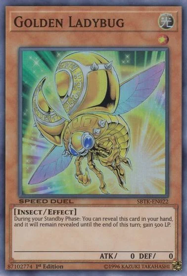 Golden Ladybug SBTK-EN022