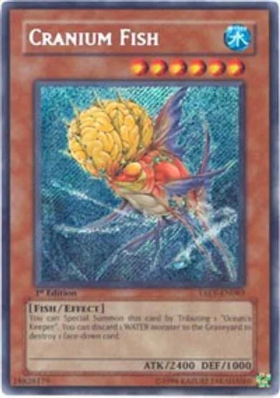 Cranium Fish [1st Edition] TAEV-EN083