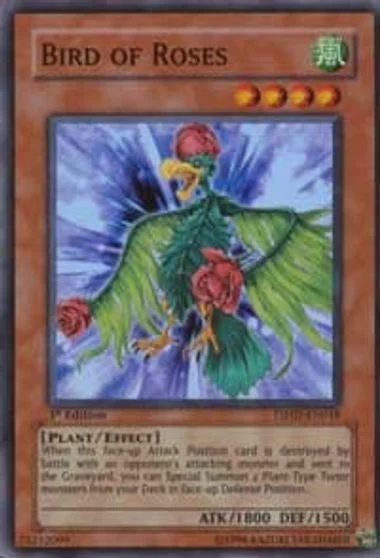 Bird of Roses [1st Edition] TSHD-EN018