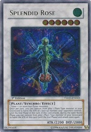 Splendid Rose TSHD-EN043