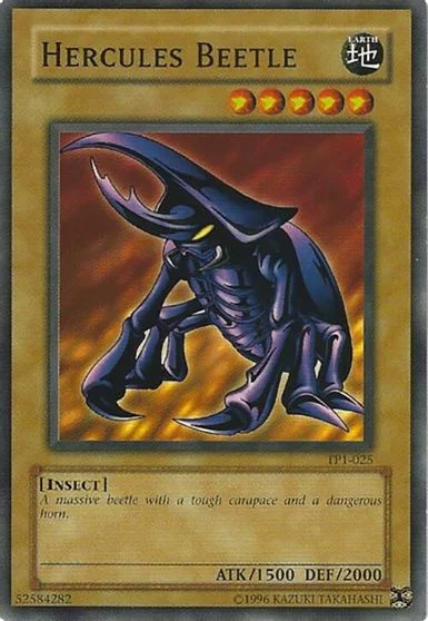 Hercules Beetle TP1-025