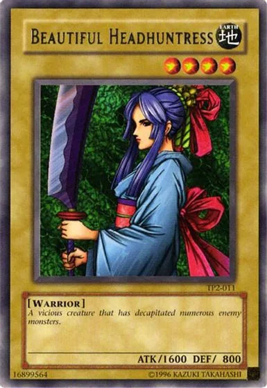 Beautiful Headhuntress TP2-011