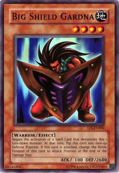 Big Shield Gardna TP5-EN002