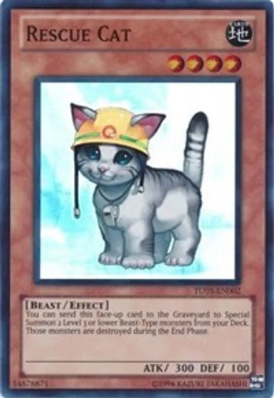 Rescue Cat TU03-EN002